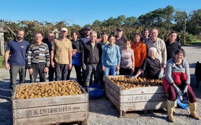 Jumelage : Des kiwis par milliers